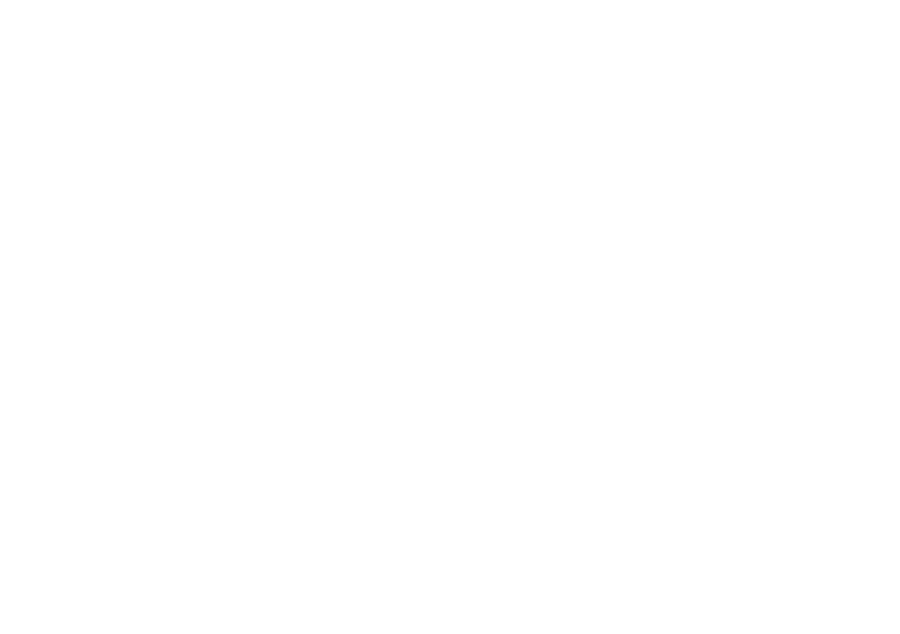 Crowkis logo: a white geometric crow on red